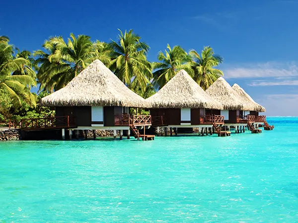 L’ART DE L’HOSPITALITÉ INSULAIRE
